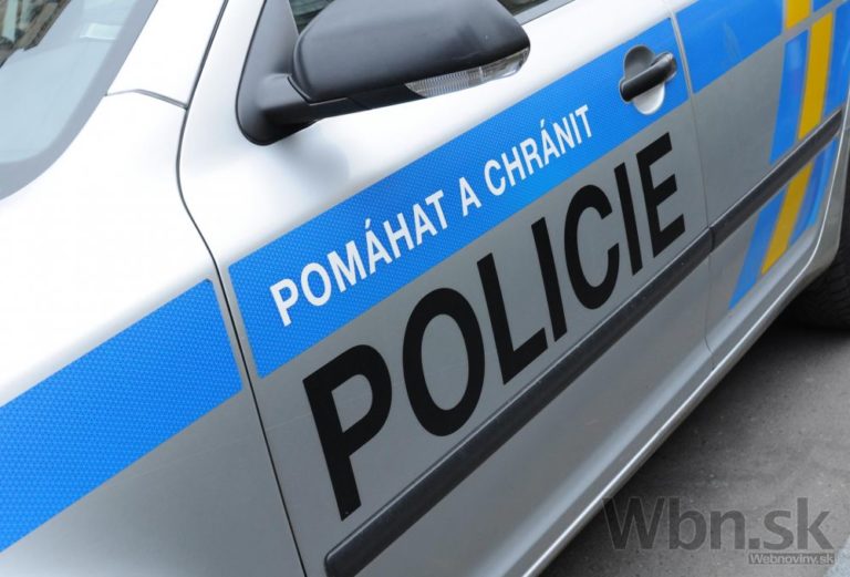 Česká polícia