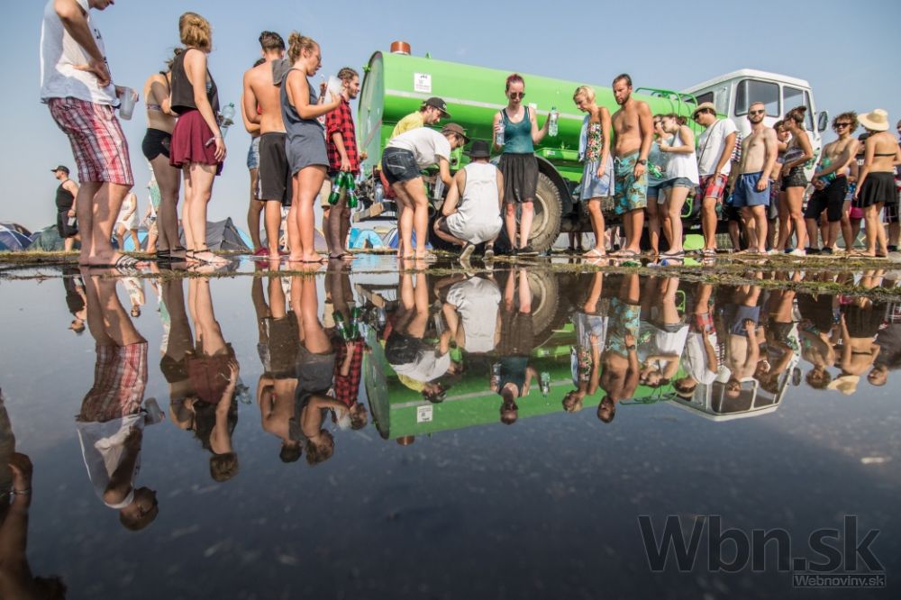 Festival Grape 2015