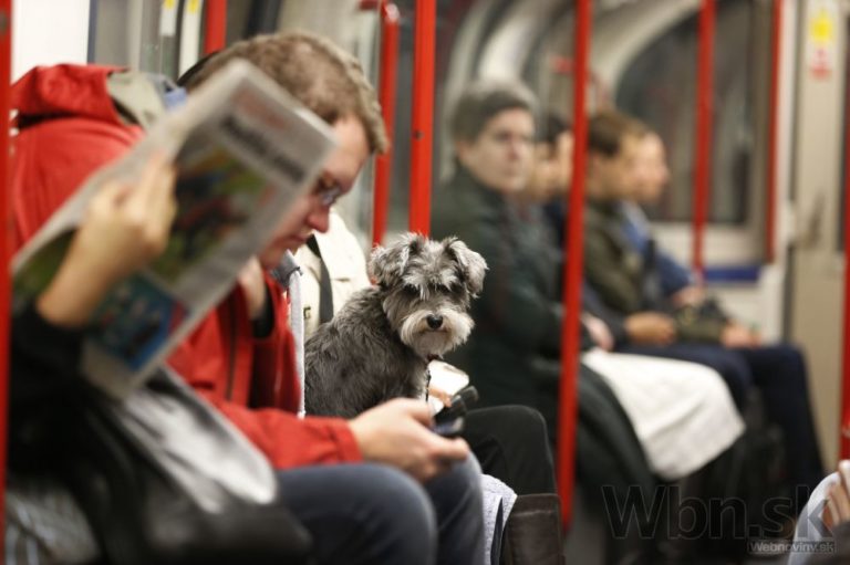 Metro