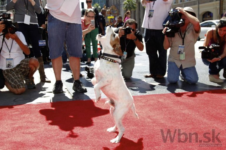 Uggie
