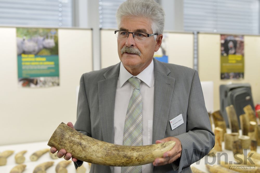 V Zürichu zhabali 262 kilogramov slonoviny