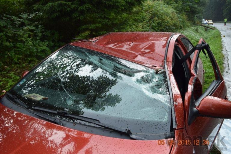 Vyvrátený strom spadol na idúce auto