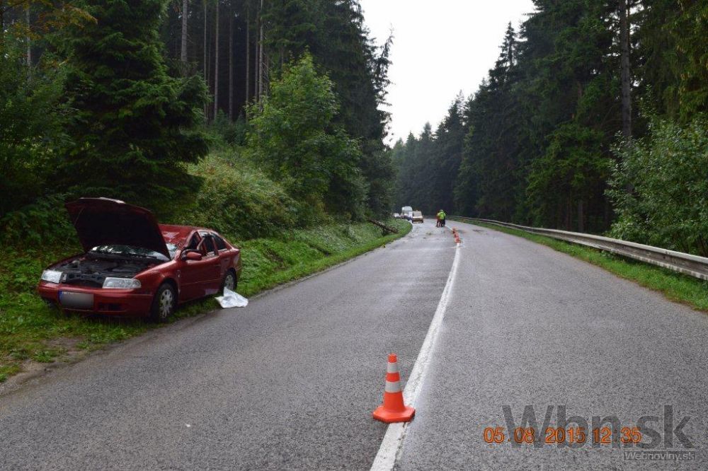 Vyvrátený strom spadol na idúce auto