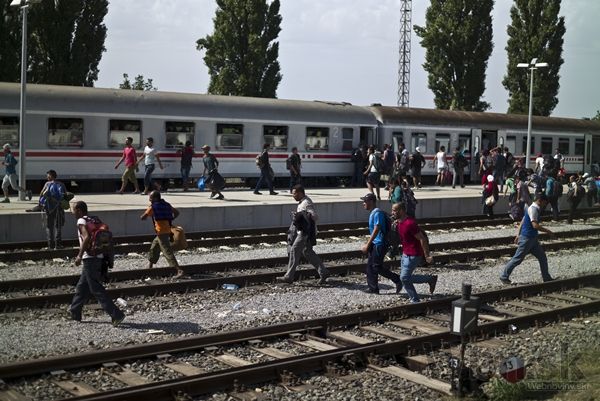 Chorvátsko zvážalo migrantov k maďarskej hranici