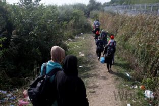 Migranti v Srbsku po uzavretí hraníc s Maďarskom smerujú do Chorvátska