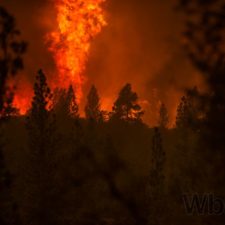 Sever Kalifornie pustošia lesné požiare