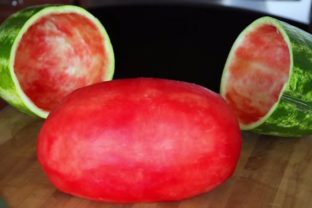 Trik s melónom
