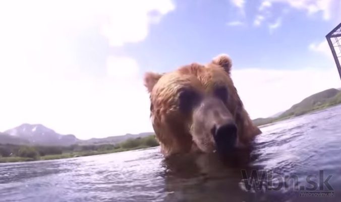 Video: Ruský fotograf načapal medveďov na rybačke