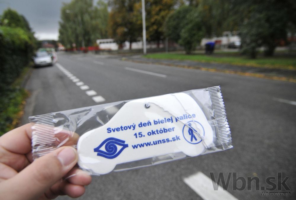Slováci si pripomínajú Deň bielej palice