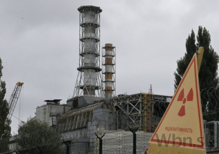 V okolí černobyľskej elektrárne sa darí divej zveri