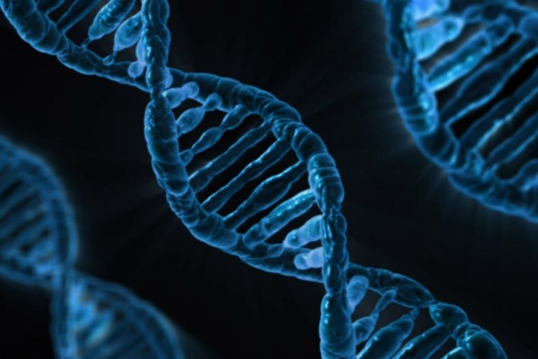 Dna.jpg
