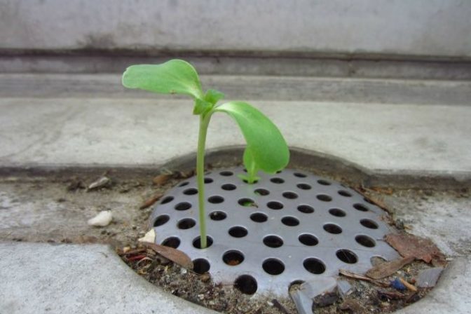 Ilustračné foto