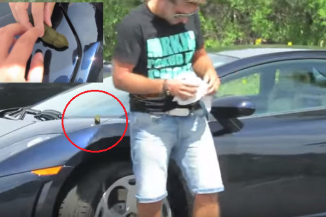 Lamborghini s hovnom na kapote.png