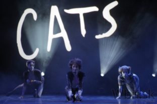 Nová scéna pripravuje muzikál Cats