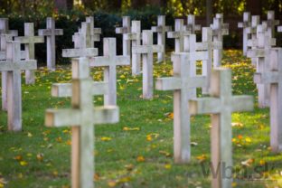 Vojenský cintorín 1. sv. vojny v Petržalke