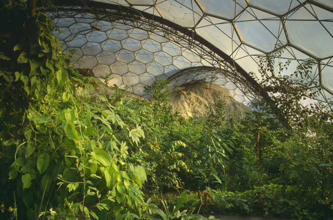 Sub Tropical Biosphere Dome