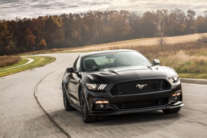Mustang 8.jpg