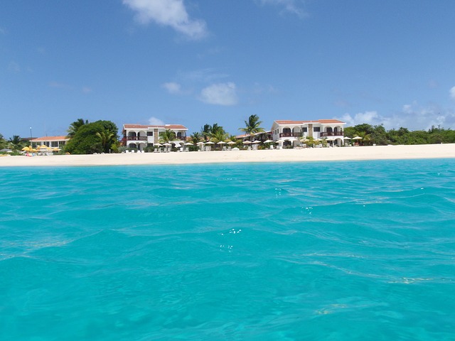 Anguilla_pixabay.com_.jpg