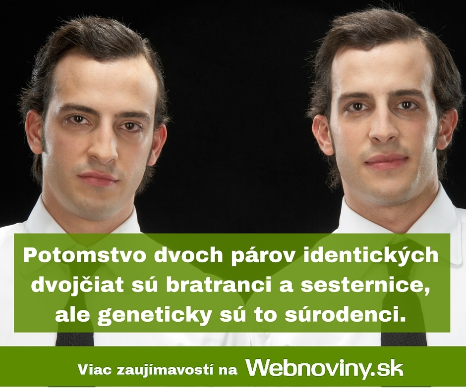 Fakt