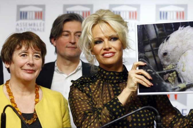 Pamela Anderson vyvolala rozruch vo francúzskom parlamente