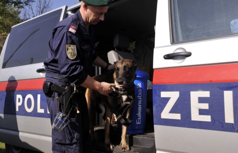 Polícia