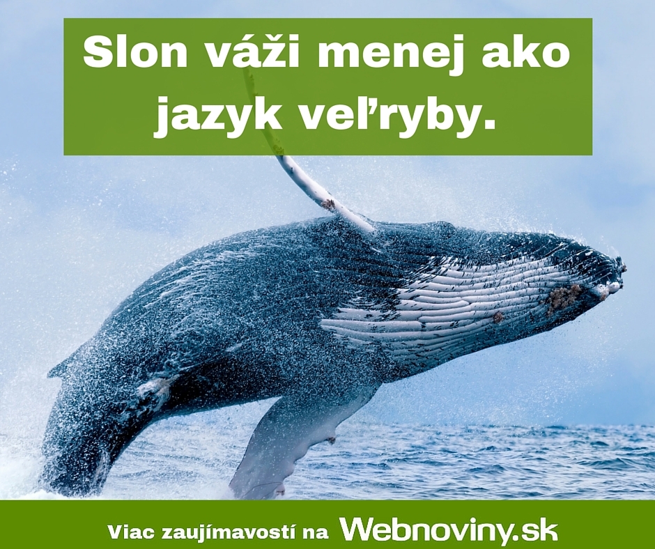 Fakt