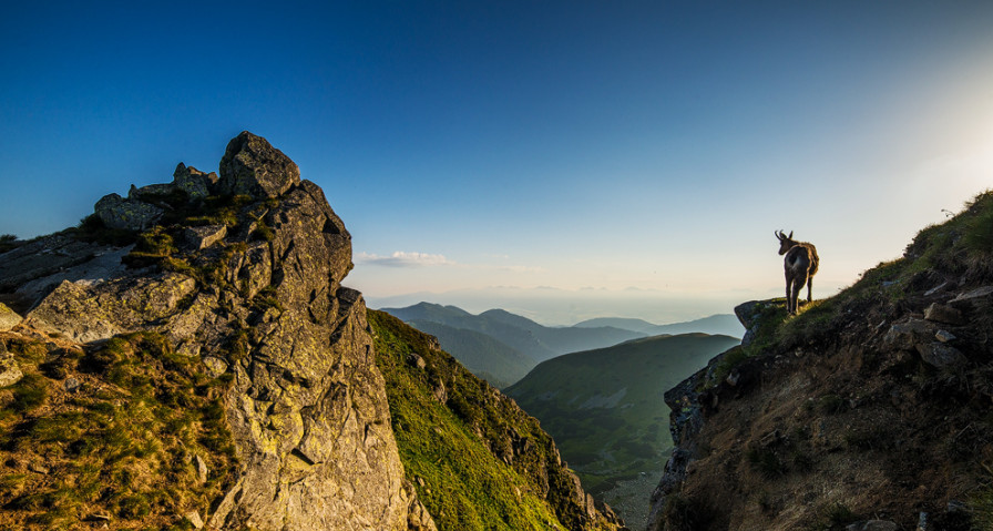 Horizon33_2016 2 28_0 18 16.png
