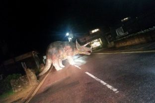 Vodiča v strede cesty prekvapil dinosaurus