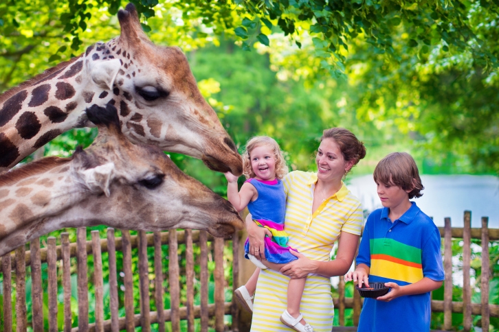Zoo