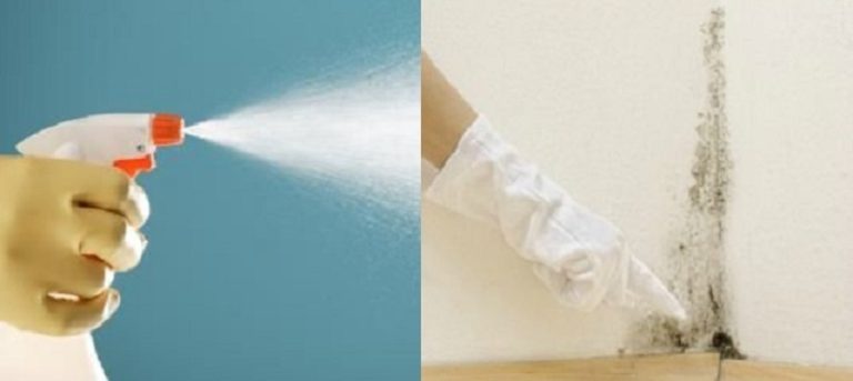 5 spôsobov, ako sa zbaviť plesní bez použitia chemikálií