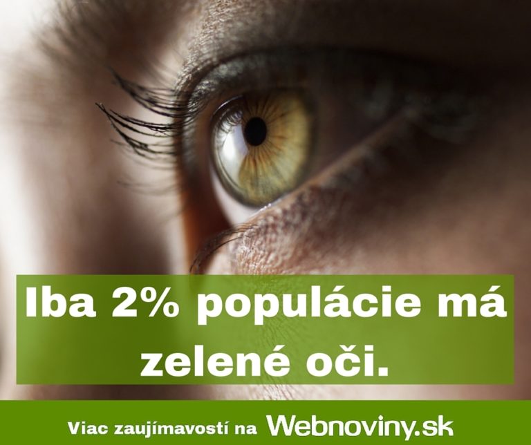 Fakt
