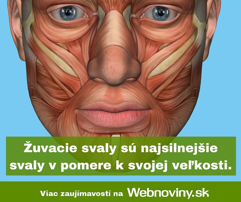 Fakt