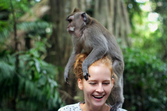 Bali monkey forest 2.jpg