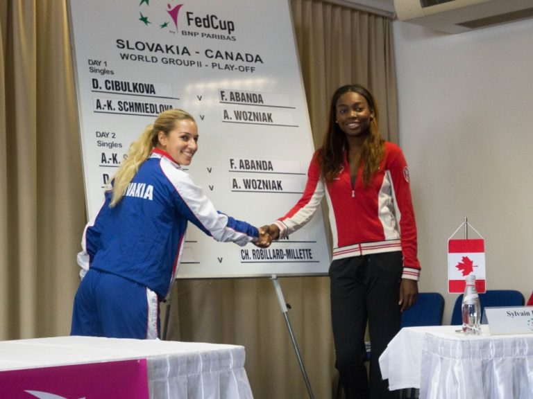 Dominika Cibulková