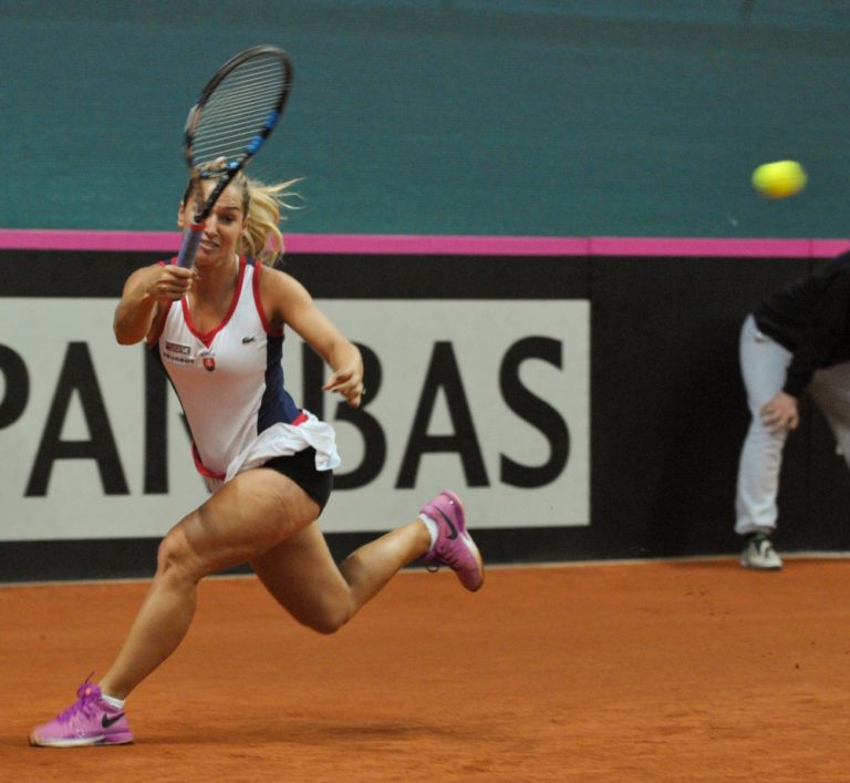 Dominika Cibulková