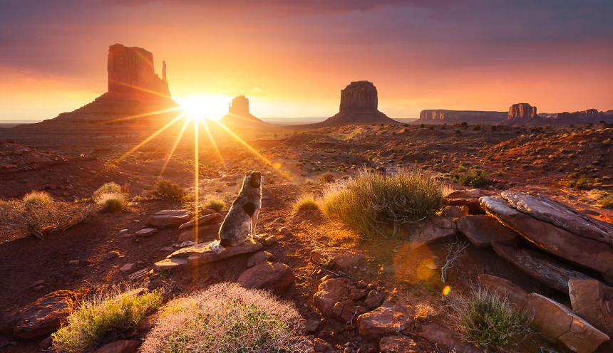 Horizon33_2016 4 12_13 46 19.png