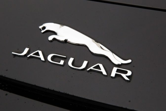 Jaguar.jpg