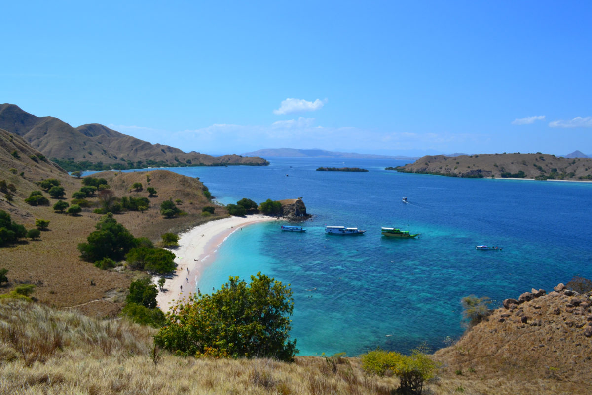 Komodo plavba ruzova plaz zhora.jpg