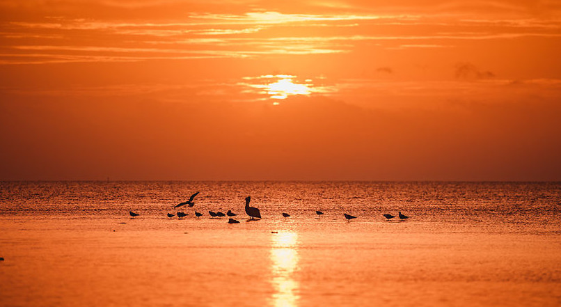 Horizon33_2016 5 2_11 34 51.png