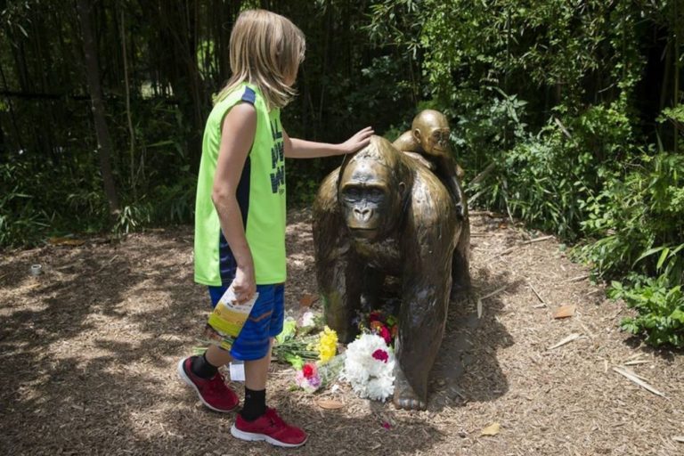 Zoo