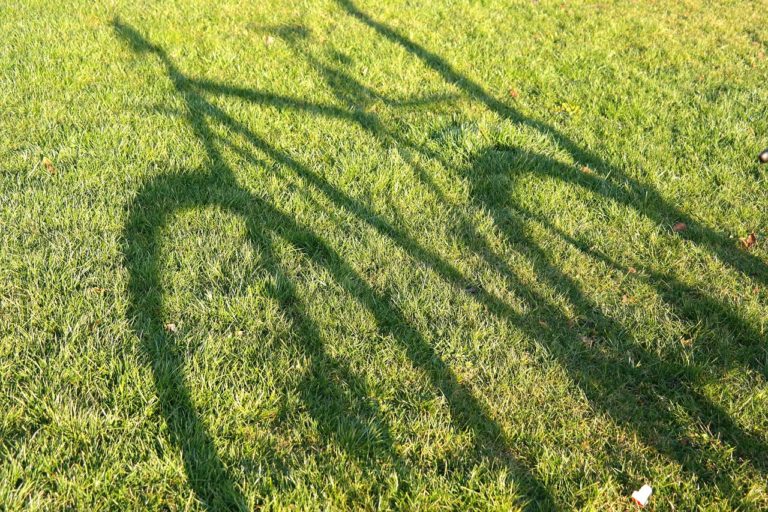 Bike 236906_1280.jpg