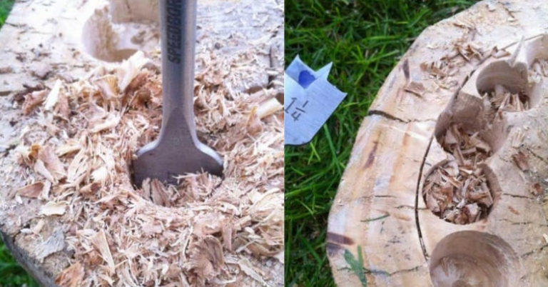 Muž zobral starý peň stromu a vyrobil niečo krásne!