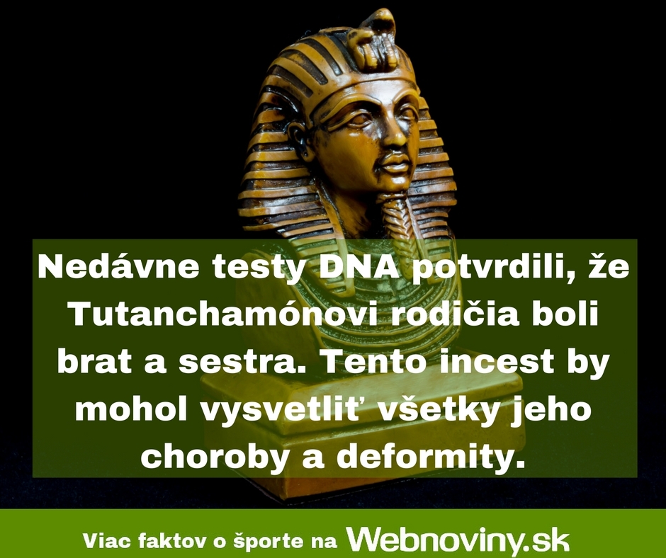 Fakt