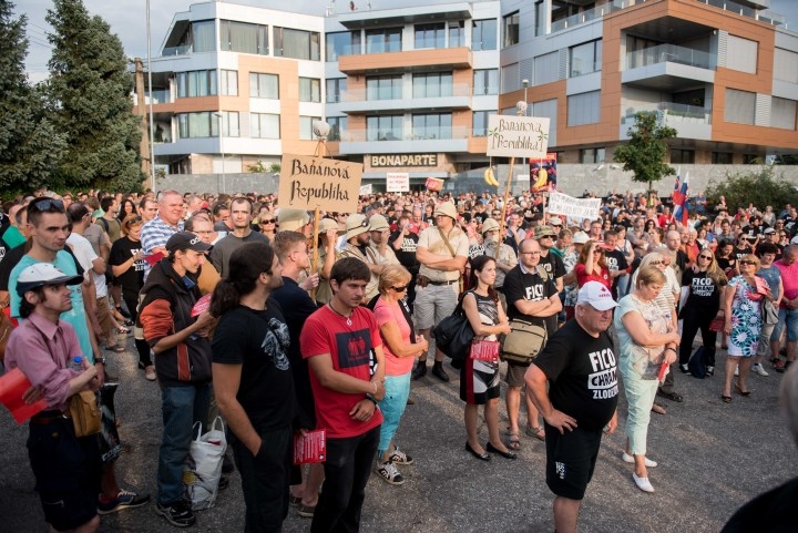 Protest proti zlodejom v politike IX.