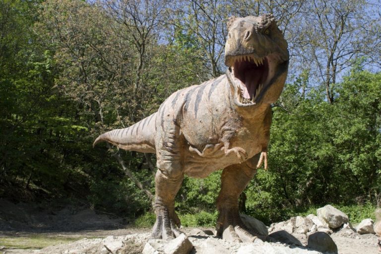 Tyranosaurus
