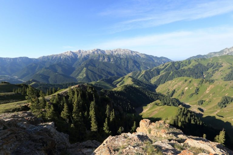 White Mountains