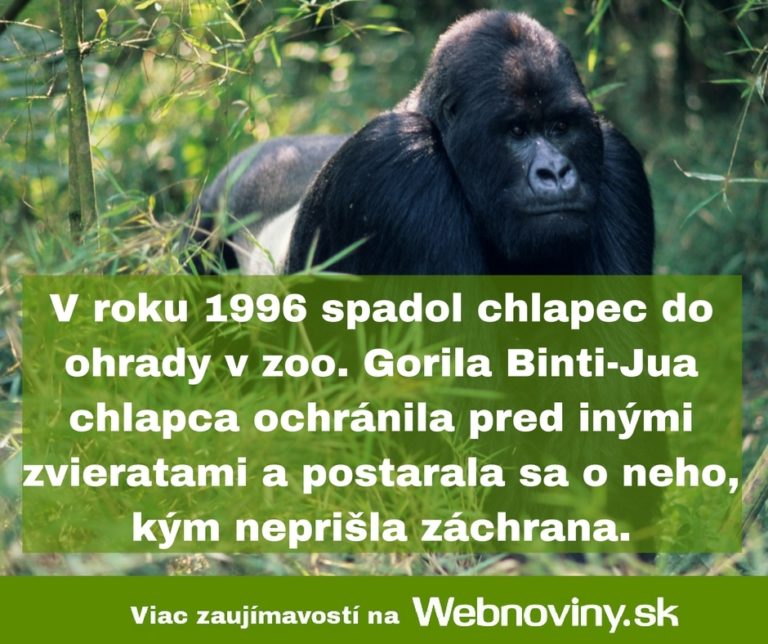 Fakt