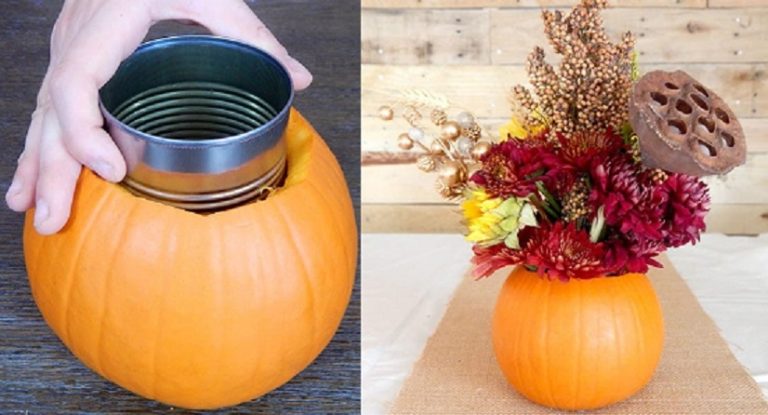 Máta doma tekvicu? Takto parádne ju môžete využiť