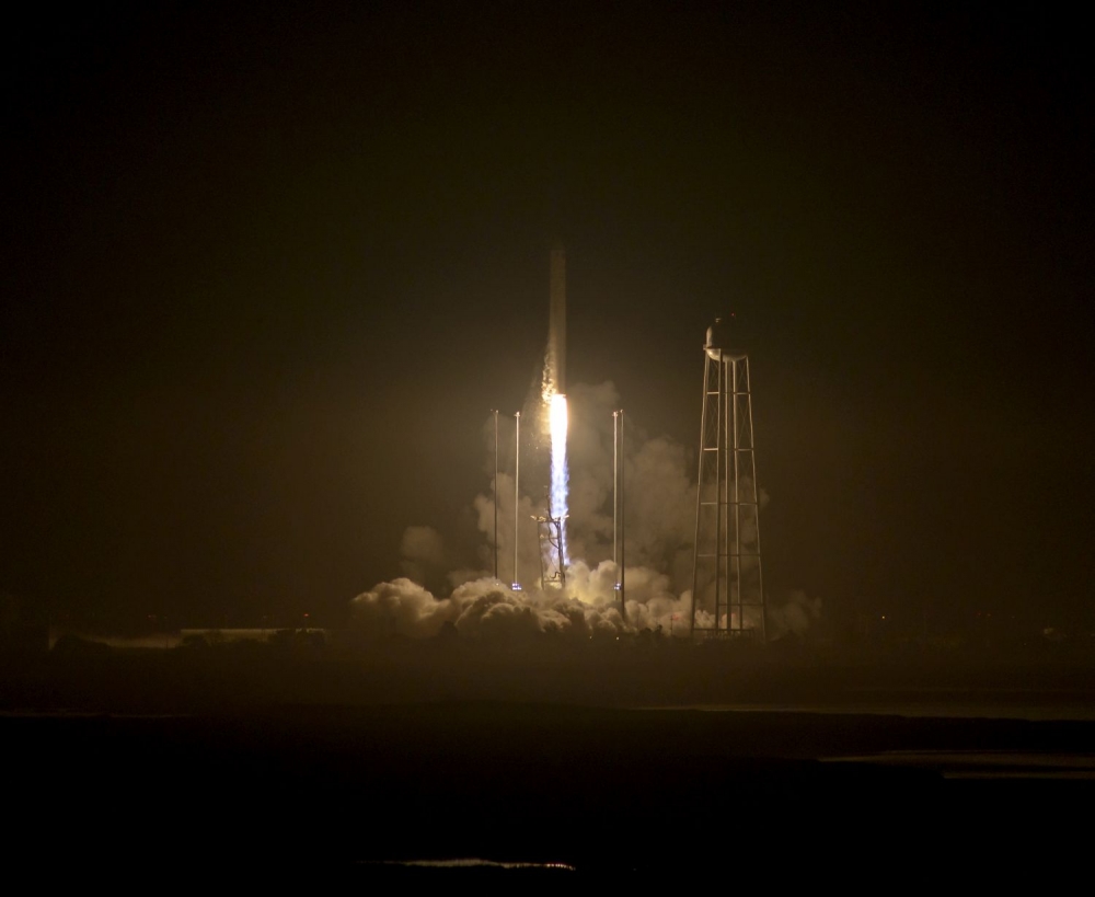 Cygnus