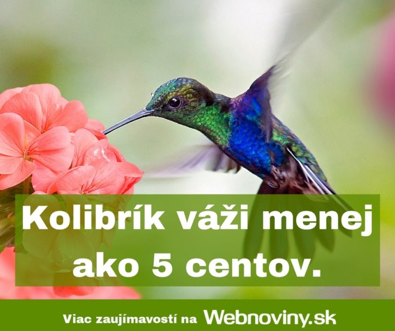 Fakt
